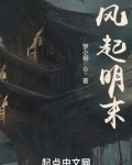 风起明末小说免费阅读