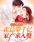 夫人回来了吗?霍总,夫人改嫁了