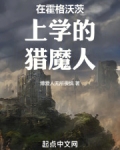 在霍格沃茨上学的猎魔人