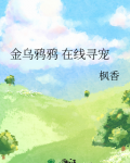金乌鸦鸦在线寻宠作者枫香