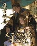 东宫太子妃(重生)