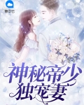 神秘帝少惹不起