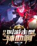 什么叫游走性辅助啊