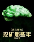 我在缅甸挖矿那些年百度云