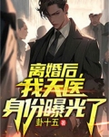 离婚后我每天喜提热搜[娱乐圈]