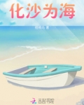 沙化意思