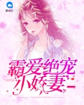 豪门盛宠绝宠小娇妻