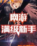 网游新手村村长