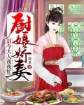 厨娘小说穿越小说
