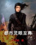 都市灵眼至尊