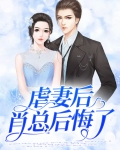 虐完我总裁追妻火葬场
