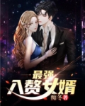 最强入赘女婿叶辰全文免费阅读