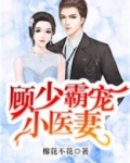 顾少霸宠小医妻短剧免费观看