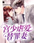 宫少宠妻太凶猛百度百科