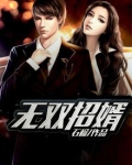 无双招婿有声