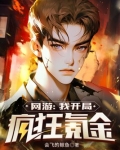 网游之开局氪金20亿