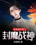 暗黑破坏神封魔战神紫莲圣者