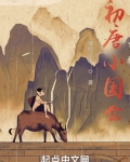 初唐小国公 小说