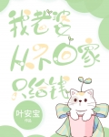 我老婆从不回家只给钱作者:叶安宝