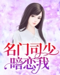 名门挚爱:司少的国民妖精