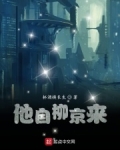 他自柳京来