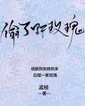 偷了野玫瑰孟枝的结局