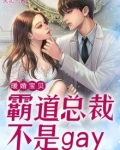 暖婚宝贝：霸道总裁不是gay