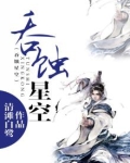 吞蚀星空小说