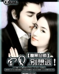 腹黑总裁：宝贝，别想逃！