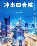 冲出四合院小说
