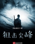 尖峰突击任务