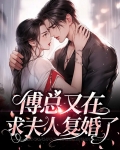 傅总又来求复婚了下载
