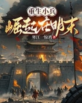 叫你来平定天下,你却征服全世界小说