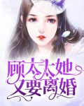顾夫人她又要离婚免费阅读