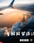董锵锵留德记TXT下载