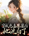 穿成恶毒婆婆的文