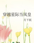 穿越星际当凤皇下载
