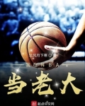 我在nba当老大小说