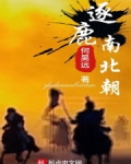 逐鹿南北朝