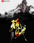 顽贼起点