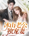 冰山总裁独宠妻电视剧