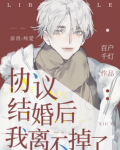 协议结婚后我离不掉了txt完整版