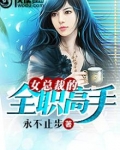 女总裁的全职高手女主是谁