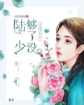 宠婚蜜爱陆少的心尖宠免费全本