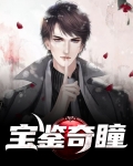 宝鉴奇瞳