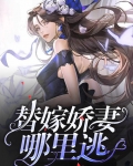 替嫁娇妻要离婚大结局