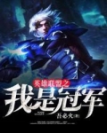 英雄联盟之我是冠军 小说
