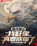 唯我独法:我好像真要成仙了在线阅读
