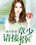 重生娇妻:章少请接招小说