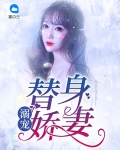 替身娇妻要离婚免费全文免费